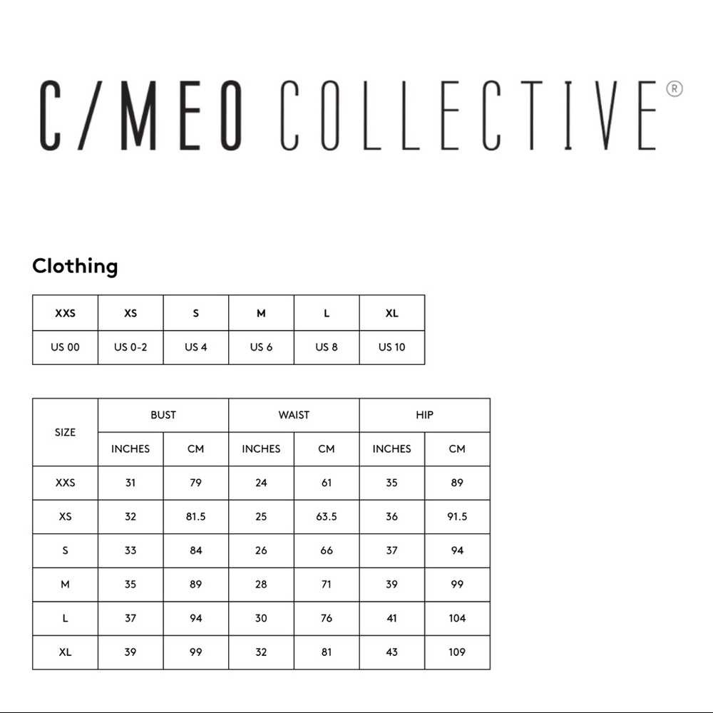 C/MEO COLLECTIVE LACE MINI DRESS - Picture 4 of 8